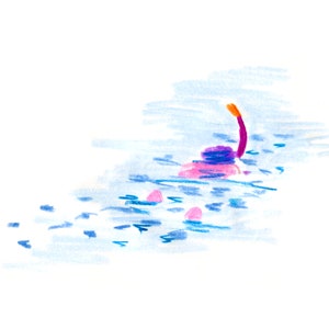 Verão - Snorkeler
