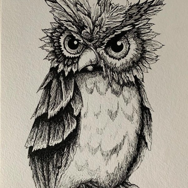 Owl ink drawing