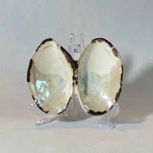 May include: A ceramic, shell-shaped dish with a cream-colored interior and a dark brown rim. The dish is displayed on a clear plastic stand, showcasing its unique shape and design. The dish is likely used for serving or display.