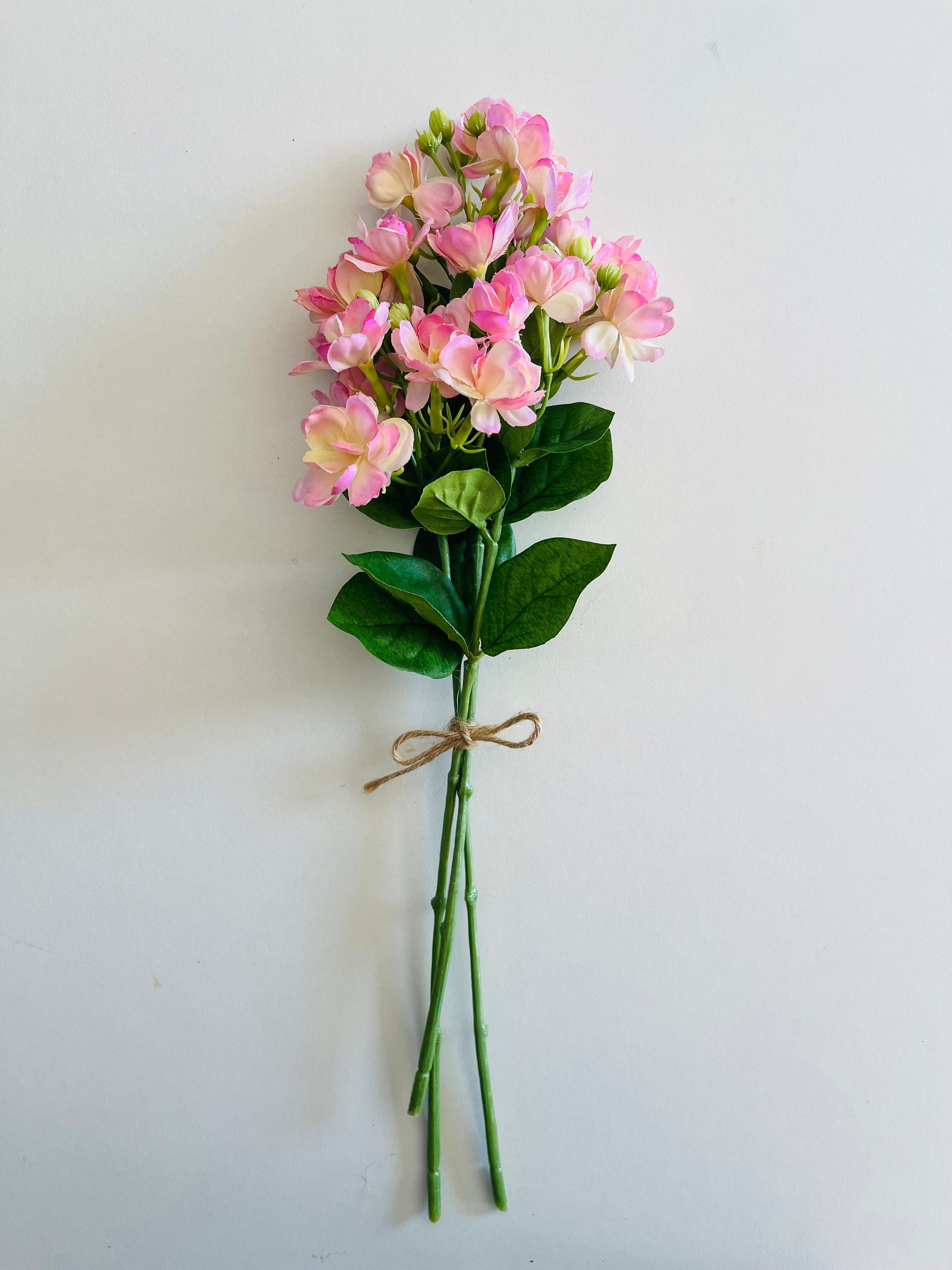 Dried Jasmine Flowers 2023 Harvest, Philadelphus Coronarius, Natural Plant  for Tea, Organic Flowers and Buds for Hair and Skin, Lithuanian -   Norway