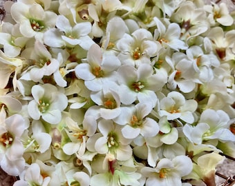 Artificial Bergenia Flower heads for crafting, cream (with green centre) Pack of 50 heads