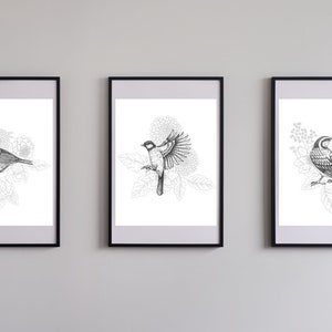 Bird Prints - Trio in Black & White