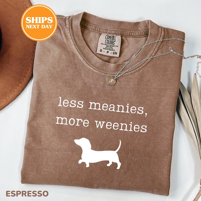 A brown t-shirt with a white dog silhouette and the text "less meanies, more weenies" printed on it, along with a necklace and a brown hat.
