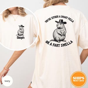 Retro Smart Fella 90s Shirt, Funny Vintage Tshirt, Vintage 90s Shirt, Funny Gift, Vintage Distressed Shirt, Custom Shirt, Comfort Colors