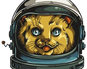 Funny CATy as an Astronaut Patch Flock 3.5 inch width Iron-on MINT inclusive instructions