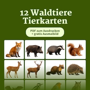 Erste Wörter Waldtiere | Sprachförderung Bildkarten PDF | Tiere im Wald für Kinder | Realistische Fotos | Logopädie Material