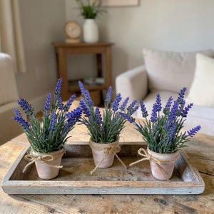 Petite Faux Lavender Pots Set of 3 – Cottage Botanical Accent