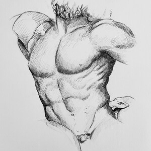 Laocoon Anatomical Study Print