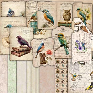 Vögel Kit Add-on, Junk Journal Seiten, Garten, druckbare Journal, Ephemera digitale Papiere, Natur, Ephemera Sammelalbum, Vogel druckbare Seiten
