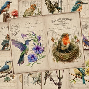 Vogels ongewenste dagboekpagina's, tuin, afdrukbaar dagboek, Ephemera digitale papers, natuur, lente, Ephemera Scrapbook, vogel afdrukbare pagina's