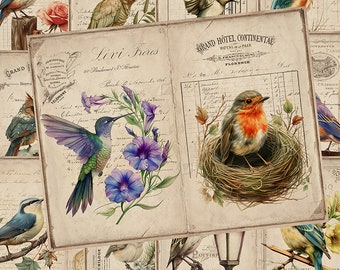 Birds Junk Journal Pages, Garden, Printable Journal, Ephemera Digital Papers, Nature, Spring, Ephemera Scrapbook, Bird Printable Pages
