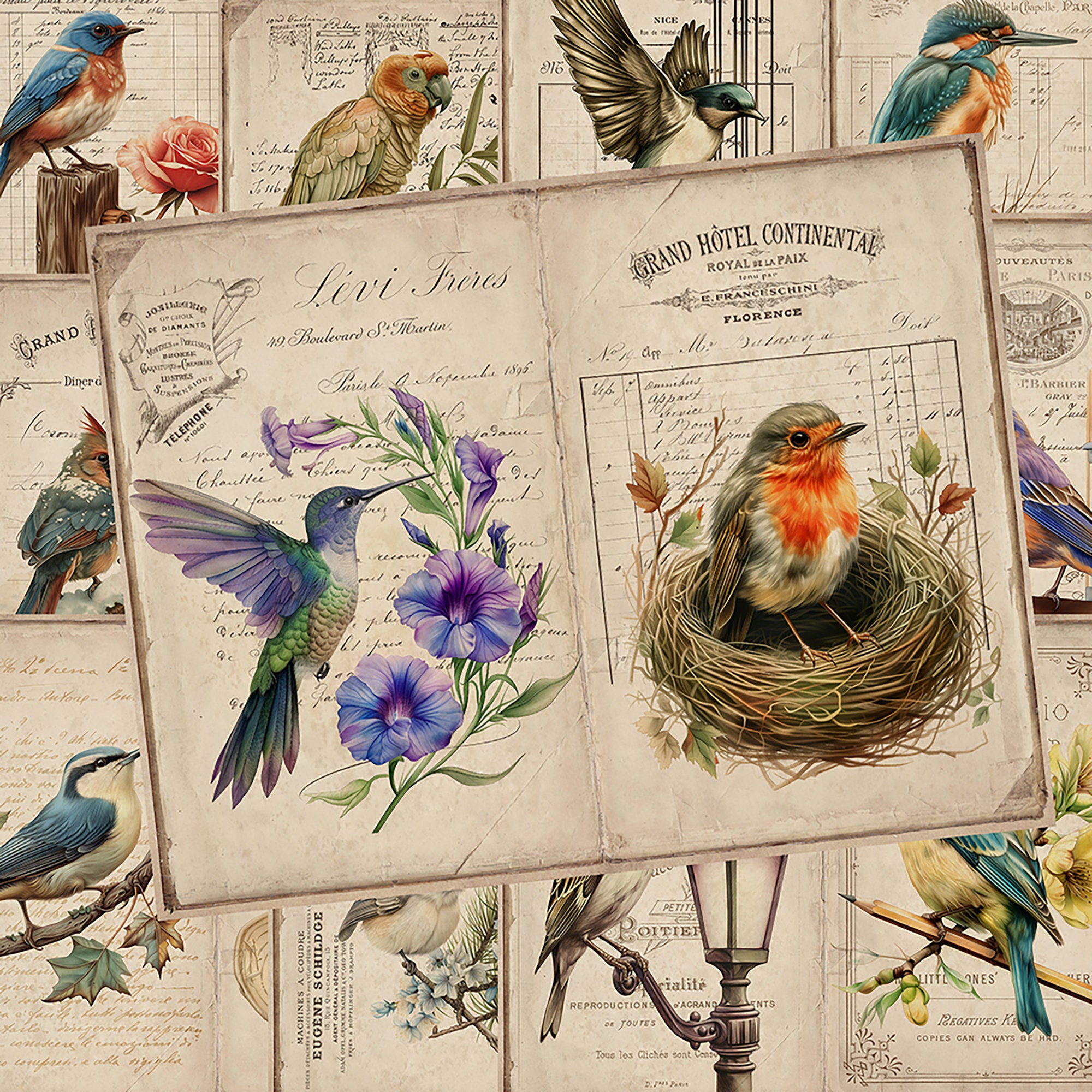 Birds Junk Journal Pages, Garden, Printable Journal, Ephemera Digital ...
