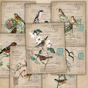 Cartões de pássaros, páginas de diário indesejado, kit de diário, flores, primavera, pássaros, coisas efêmeras de scrapbook, papéis digitais, álbum de recortes floral, coisas efêmeras vintage