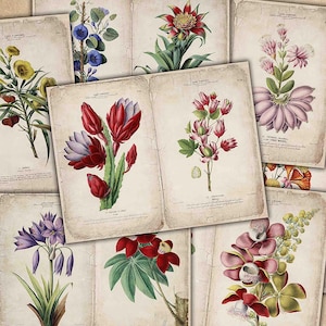 Pages de journal botanique indésirable, fleurs, journal imprimable, papiers numériques éphémères, nature, album éphémère, kit botanique imprimable