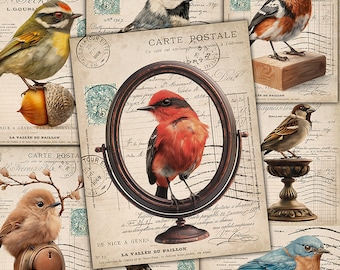 May include: A vintage collage of postcards featuring various birds, including a red cardinal, a blue jay, a sparrow, and a black and white chickadee. The postcards are decorated with floral accents and vintage stamps.