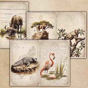 Pagine del diario spazzatura Safari Adventure, Animali safari africani, Diario spazzatura stampabile, Oggetti effimeri digitali, Oggetti effimeri di album, Animali selvatici