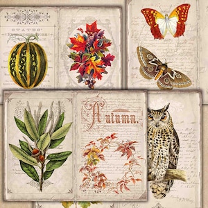 Herbstfarben Junk Journal Seiten, Blume, Herbstblätter, Printable Journal, Ephemera Digitale Papiere, Natur, Sammelalbum, Ephemera, Herbst, Kürbis