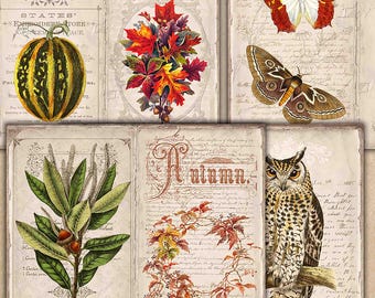 May include: A digital collage sheet with vintage illustrations of autumn leaves, a gourd, a moth, an owl, and a branch with acorns. The sheet includes the word "Autumn" in a decorative font.