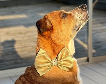 Elegant gold bow tie for a dog, cute pet collar bow with ribbon