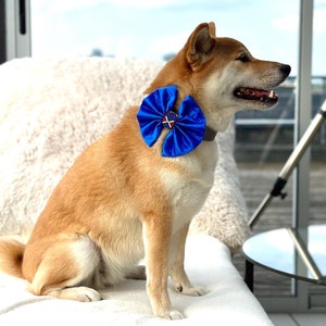 Blue bow tie for a dog, silk pet bowtie for collar with knot ribbon