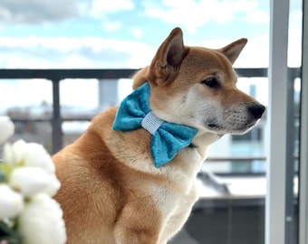 Blue Velvet bow tie for a dog, sky blue pet collar bow with ribbon
