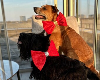 Red velvet Christmas bow tie for a dog in large size, oversize Xmas bow for dog collar