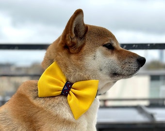 Gele vlinderdas voor een hond, strik voor de halsband met helderblauw lint