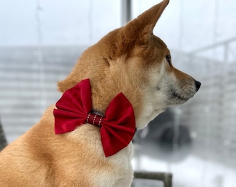 Elegant red bow tie for a dog, cute pet collar bow with ribbon