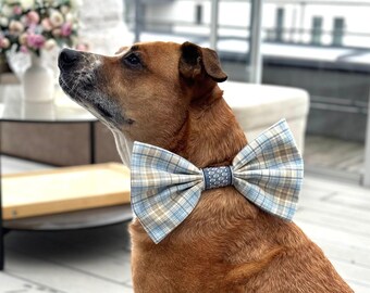 Light blue large bow tie for a dog, oversize bow for dog collar