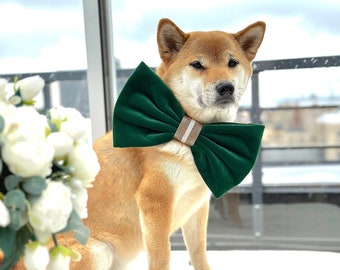 Green velvet bow tie for a dog, large size, emerald bow tie for dog collar