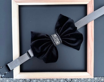 Halloween bow tie for a dog, black velvet bow tie for dog collar with web ribbon