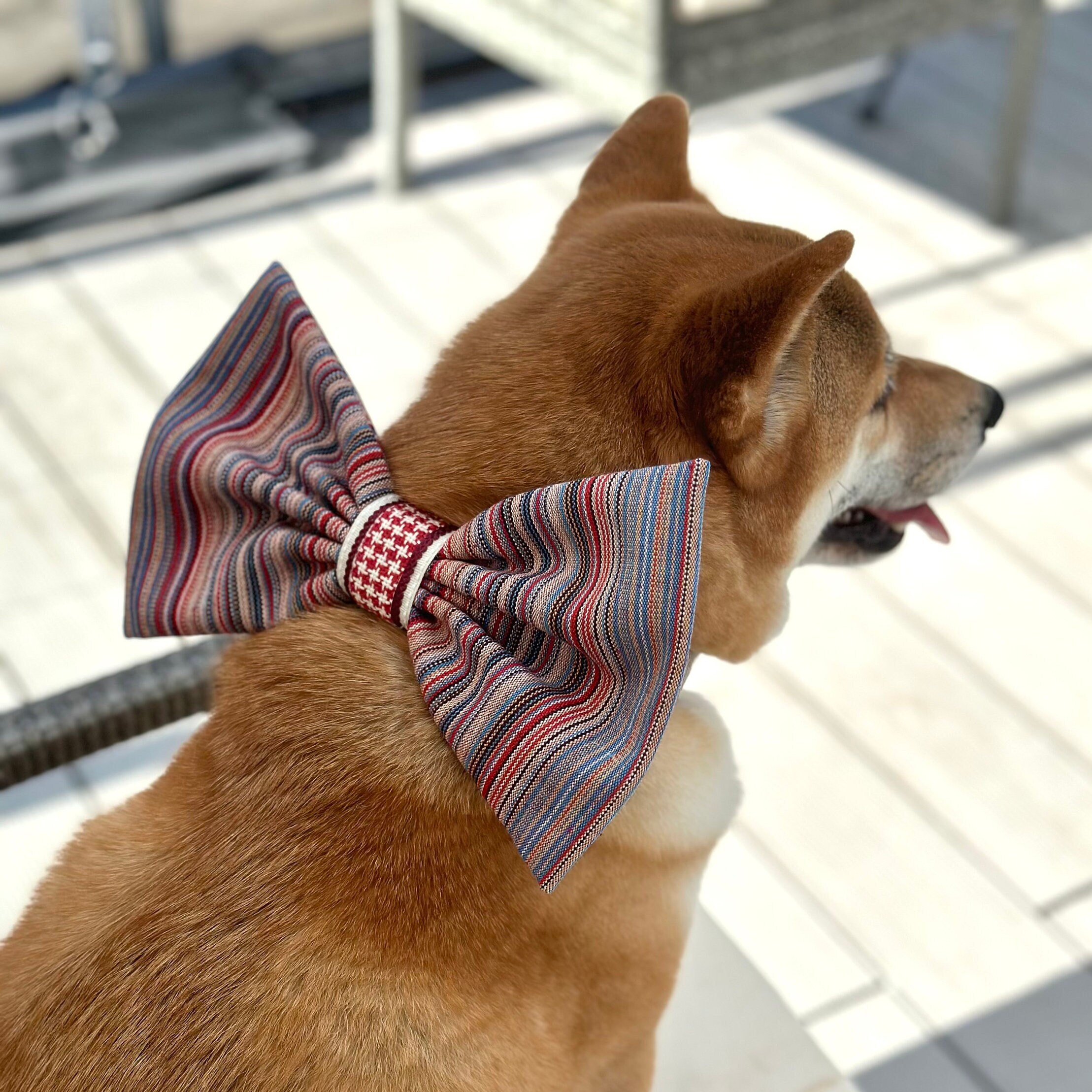 etsy bow tie dog collar