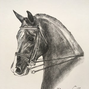 Donnerhall, dressage stallion, print, A4 drawing by Fehli Felicitas, Fehligalerie, dressage, Donnerhall,