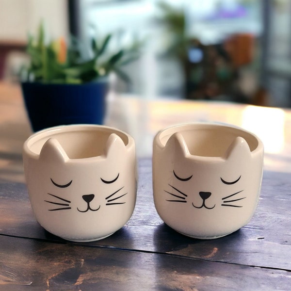 Adorable Cat Plant Pot, Cute Kitty Succulent Planter, Indoor Kawaii Cat Planter, Ceramic Cactus Planter, Animal Planter