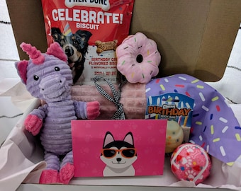Dog Birthday Gift Box - Girl - Boy – Toys, Treats, and Goodies - Pawty Time