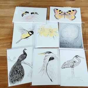 Kaartenset 8 stuks. Vogels, baby, vlinder, bloem, bijen. Dubbele kaarten, handgetekend, blanco van binnen.