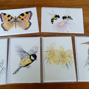 Kaartenset van natuur en vogels. Afdruk van tekeningen, wenskaarten.