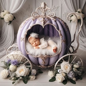 Neugeborenen digitaler Hintergrund, Blumen Kinderwagen, Prinzessin Warenkorb, Fine Art Fotografie digitaler Hintergrund, Fotografie-Overlays, Kreativer Verbundstoff