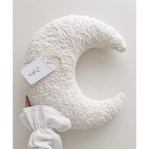 Moon pillow teddy