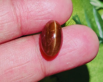 Oranger Katzenauge Chrysoberyll Cabochon, Sharp Ray Oval Edelstein, 7,30 ct