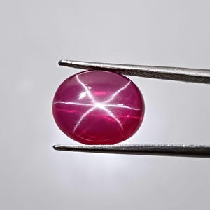 Puede incluir: Una gema de rubí pulida y redonda con un efecto de estrella de seis rayos. La gema está sujeta por unas pinzas sobre un fondo blanco. El rubí es de un color rojo intenso con una estrella blanca brillante.