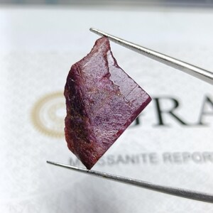 Puede incluir: Una gema en bruto, de color rojo intenso, se sujeta con unas pinzas sobre un fondo blanco. La gema tiene una superficie texturizada y bordes irregulares, mostrando su forma natural. La gema es de un color rojo intenso y rico.