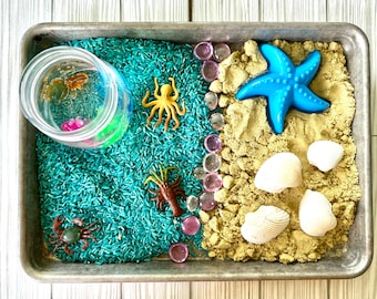 Cestino sensoriale da spiaggia, kit sensoriale per bambini, attività tranquilla, gioco di finzione, regalo di compleanno in spiaggia, gioco senza schermo