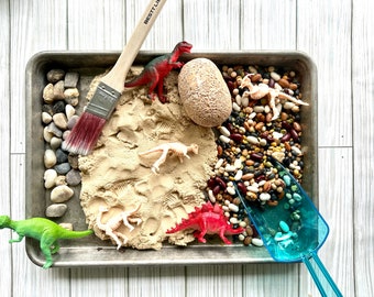 May include: A metal baking sheet filled with a sensory bin for kids. The bin contains sand, rocks, beans, and dinosaur toys. There is a red dinosaur, a green dinosaur, a white dinosaur skeleton, and a brown rock. A blue plastic scoop and a paint brush are also included.