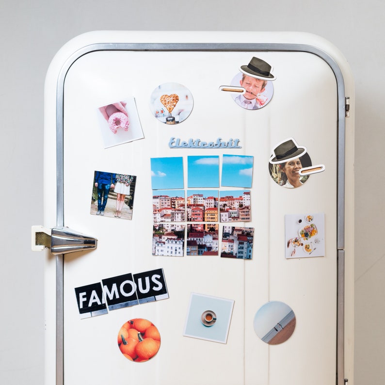 May include: A white refrigerator door with various magnets attached. The magnets include photos, illustrations, and text. The text includes "Famous" and "Elektrofruit".