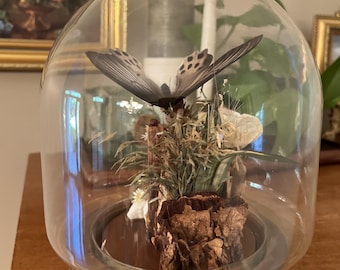 Vintage Taxidermy Japanese Butterfly In Glass Dome Display 1970s 8” Globe