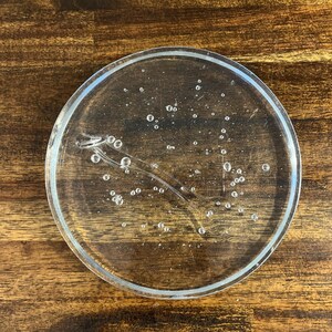 May include: A clear, round glass coaster with a slightly raised edge. The coaster has a bubbly, textured design and a curved, decorative element. The coaster is sitting on a wooden surface.