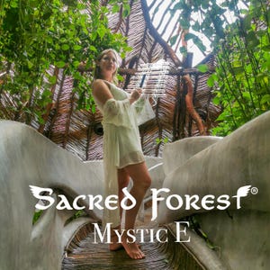 Crystal Harp – Mystic E 432 Hz from Sacred Forest