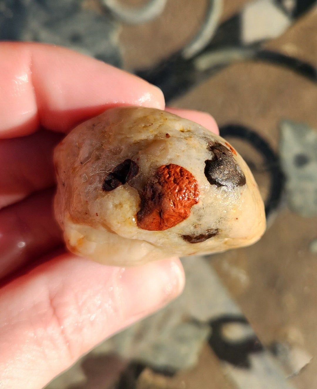 Pudding Stone With a Face Michigan Pudding Stone Etsy