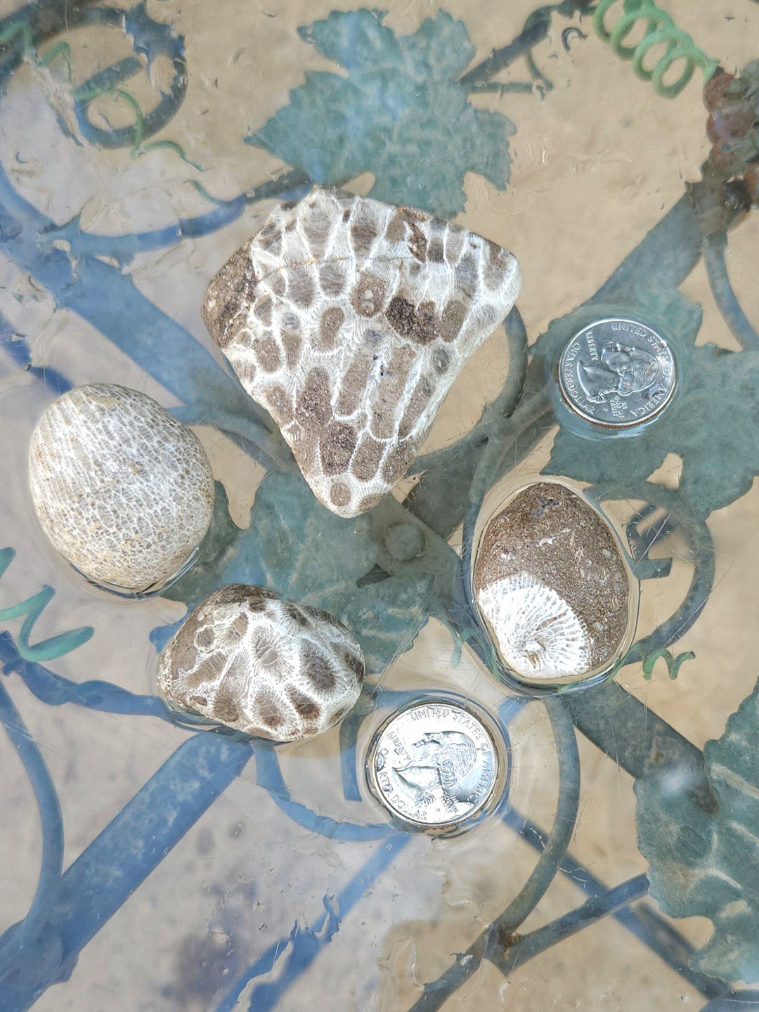 Petoskey & Charlevoix Stones Etsy